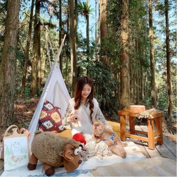 【新竹】森窯 have a Picnic－森林系秘境，桃竹 7 個野餐地點推薦