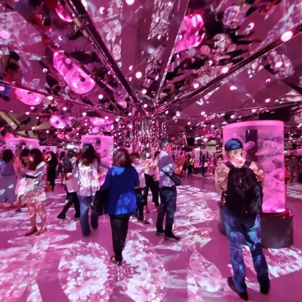 桃園 Xpark 水族館「 7 大重點懶人包」，水母萬花筒實在太夢幻！