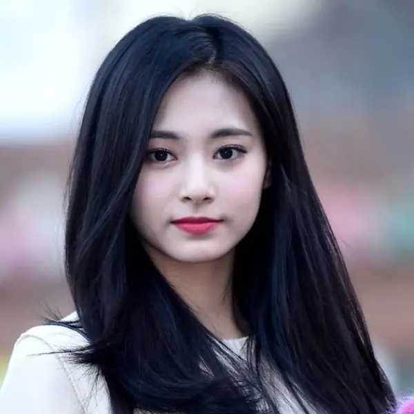 即將回歸樂壇！TWICE 子瑜染了新髮色，甜美「雙馬尾公主頭」造型曝光獲好評～