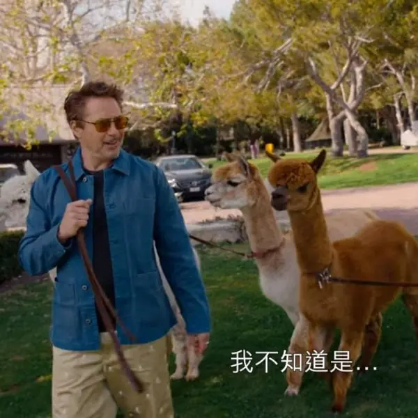 真人版杜立德！小勞勃道尼介紹自家牧場飼養了 4 隻羊駝，而且嗜好是跟各種動物玩耍散步～
