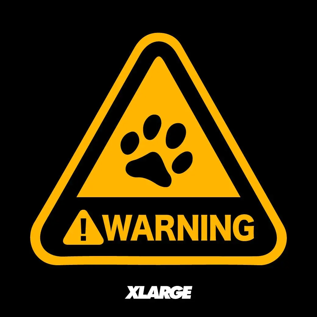 發售警報！XLARGE 2020 TAIWAN TEE 台灣限定石虎，準備上架！