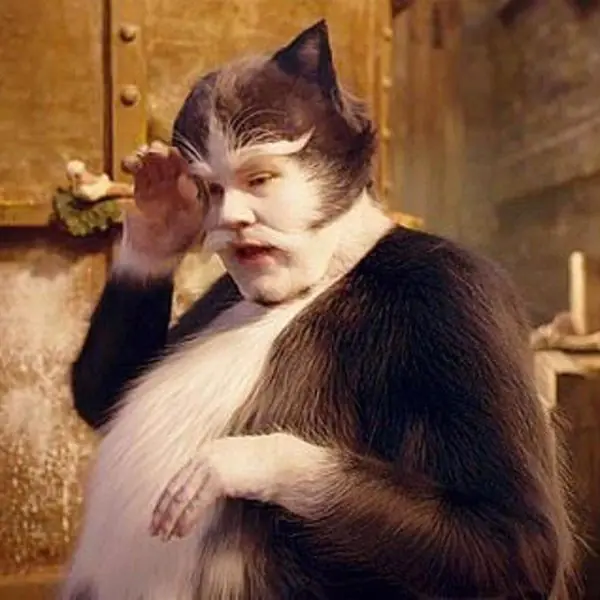 主持人柯登風光入圍金球獎，被狂吐槽：還好不是靠《CATS 貓》電影入圍的！