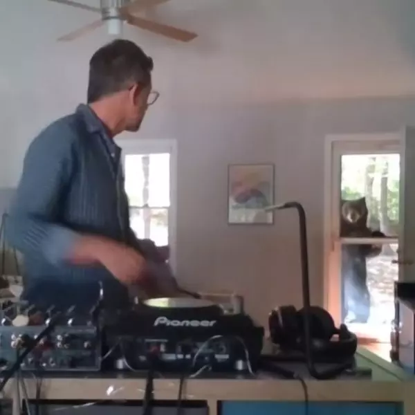 熊熊遇見你！DJ 在家放歌野熊站在門口也想進來開趴，他的第一個反應是⋯