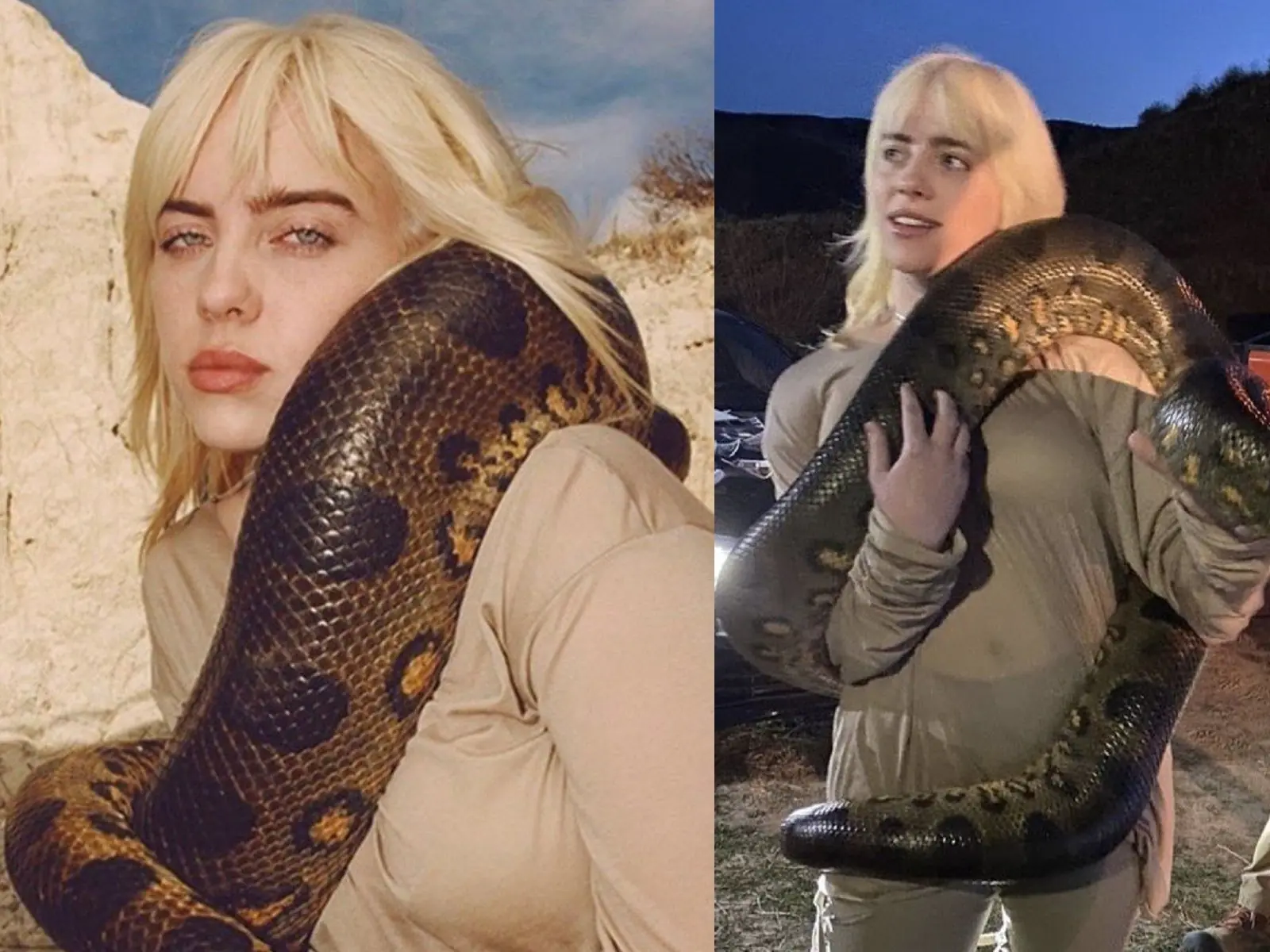 記得上次她嘴巴吐蜘蛛嗎？Billie Eilish 新歌〈Your Power〉MV，巨蟒纏身是實拍！