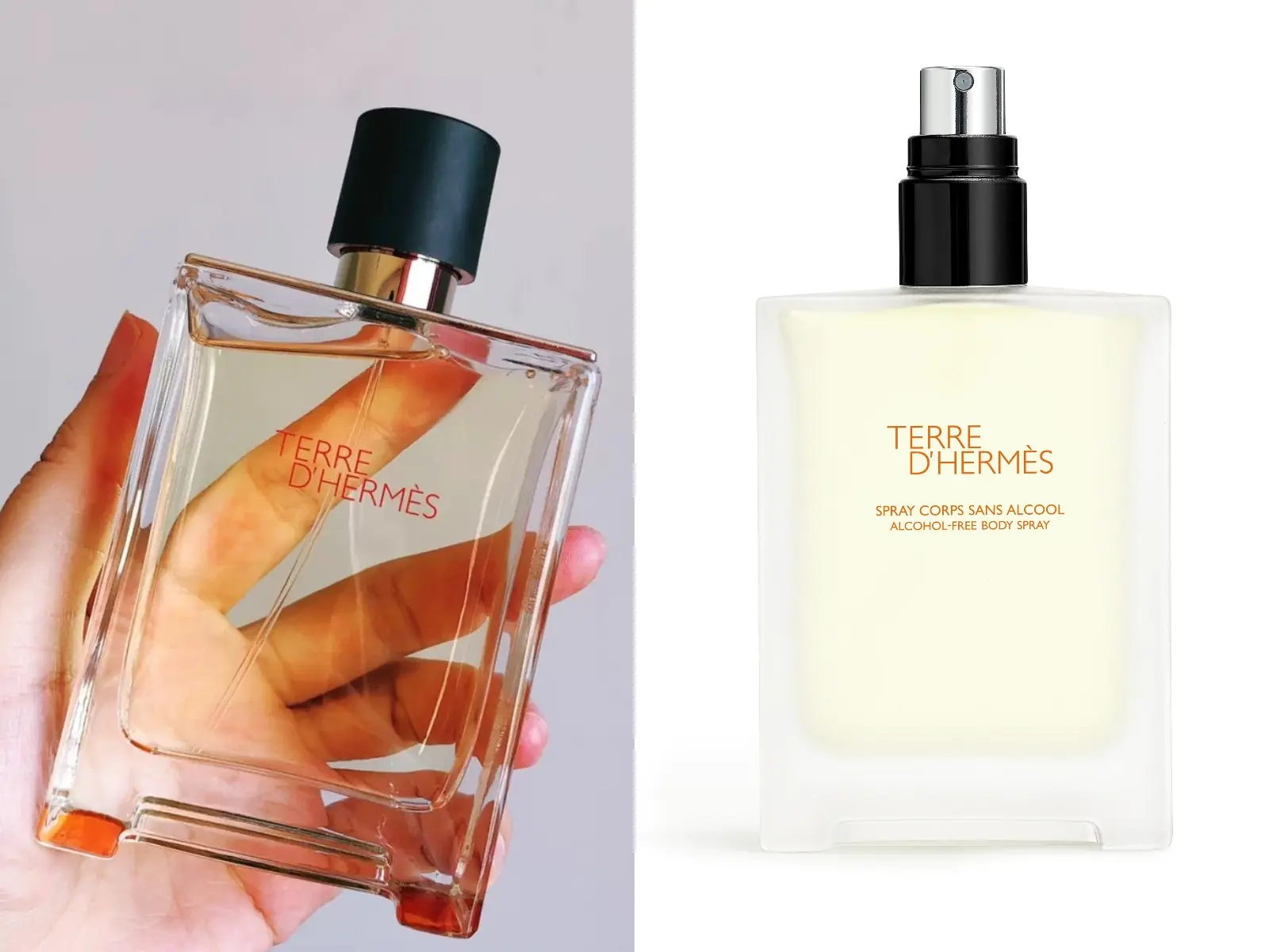 愛馬仕大地香水推「TERRE D‘HERMÈS 無酒精身體噴霧」，限量新香木質調愛用者必收～