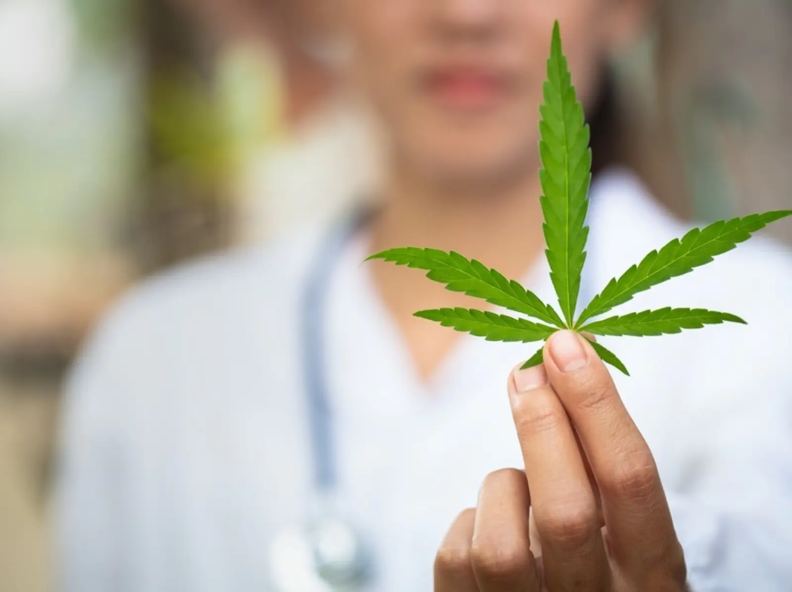 泰國宣布「大麻合法化」甚至可以在家自行種植，成為東南亞首個承認大麻的國家！