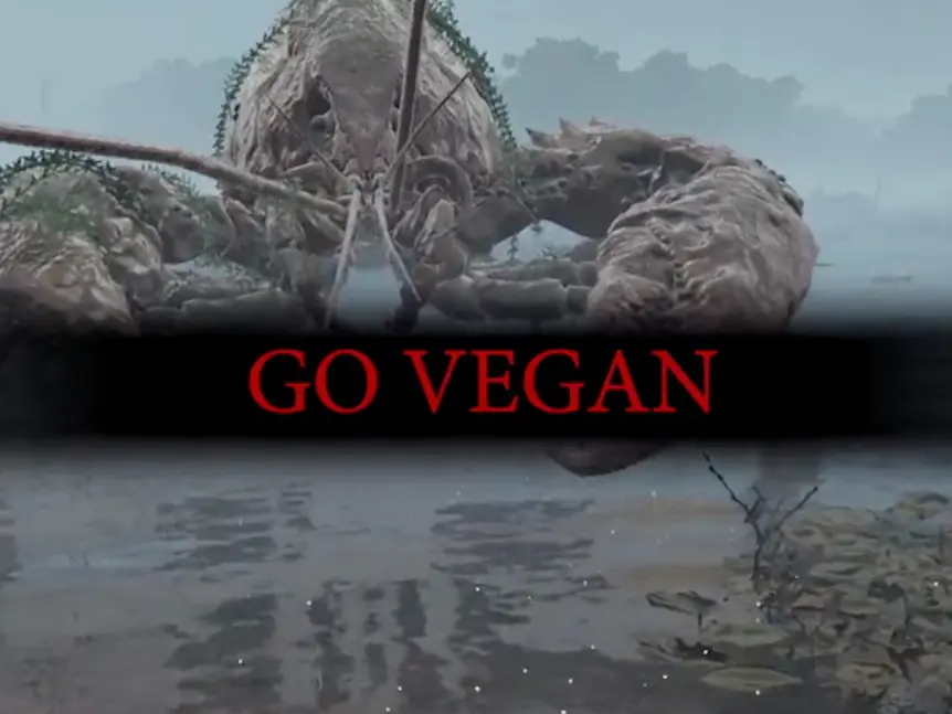 《艾爾登法環》被 PETA 呼籲「好好善待動物」，最後甚至還說「GO VEGAN」！