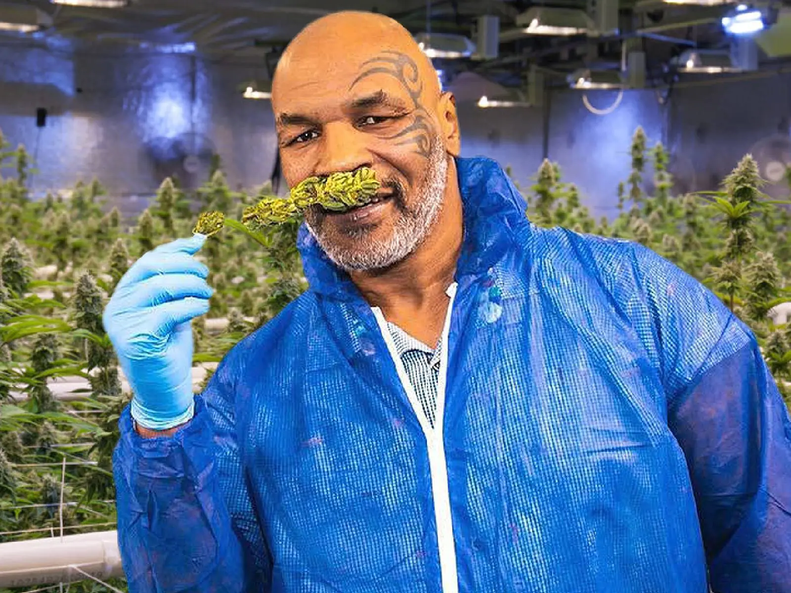 「拳王泰森」Mike Tyson 自曝 11 天花 1.5 億台幣，過往更花百萬照料孟加拉虎、擲千萬買黃金浴缸！