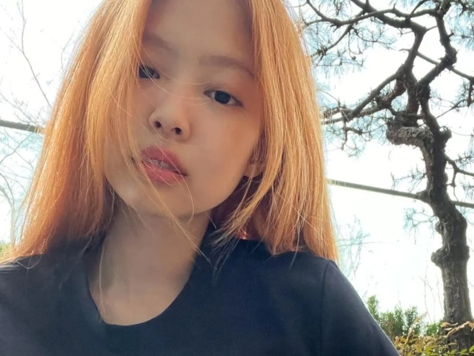 Blackpink Jennie 蜜糖橘新髮色登熱搜，網友嗨翻：莫非是在預告回歸？