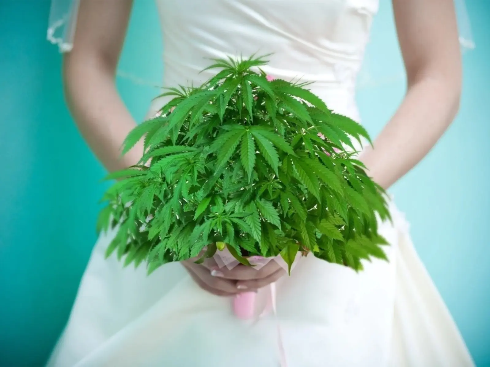 美國新娘在婚禮餐點偷加「大麻」，造成賓客噁心嘔吐、甚至腦袋產生「奇怪的想法」！
