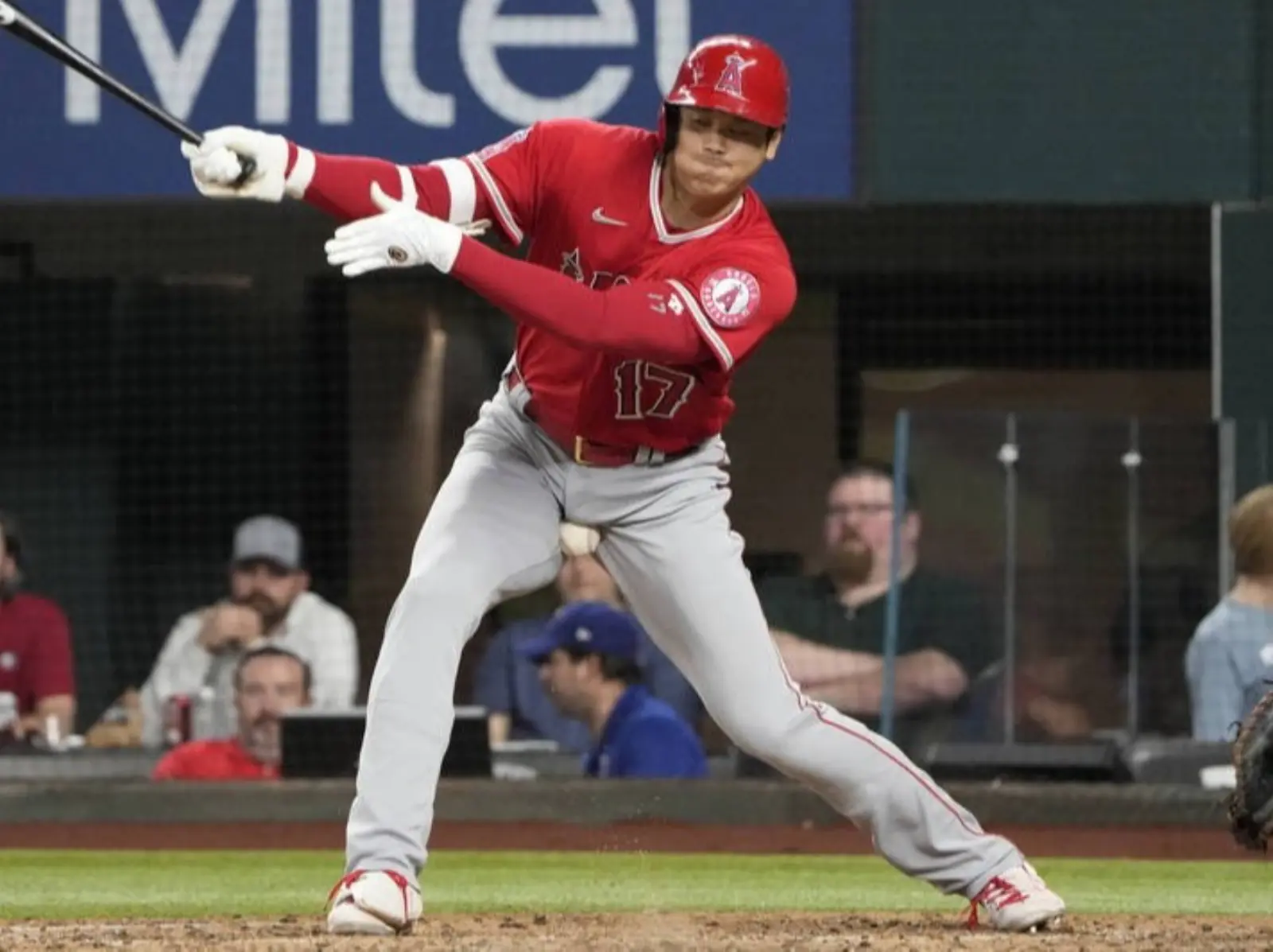 MLB / 大谷翔平擊出反彈球誤中「小翔平」，痛到跳出場外說不出話來！