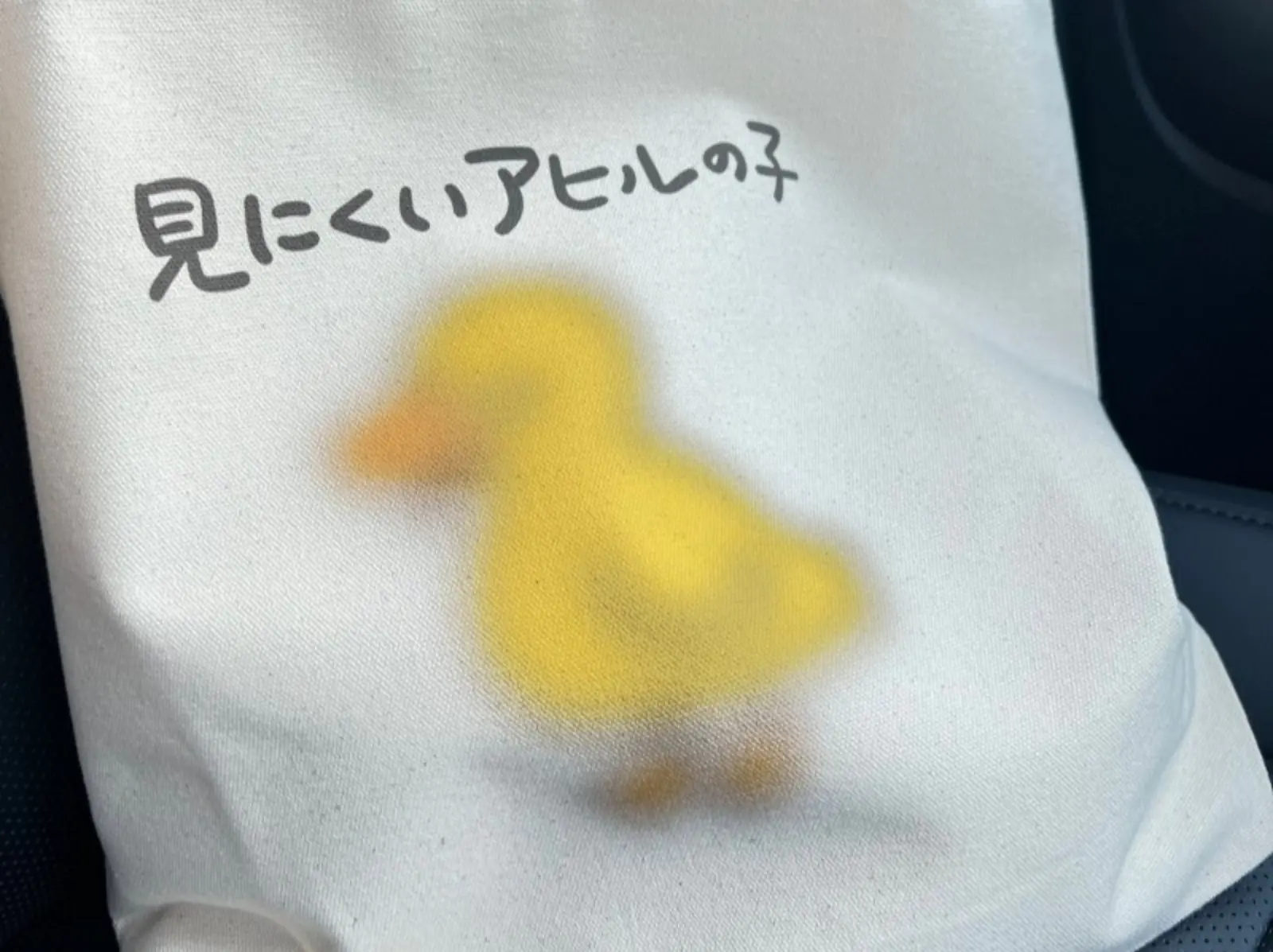日本推特爆紅「看不清楚鴨」帆布袋，第一眼還以為是自己眼花！