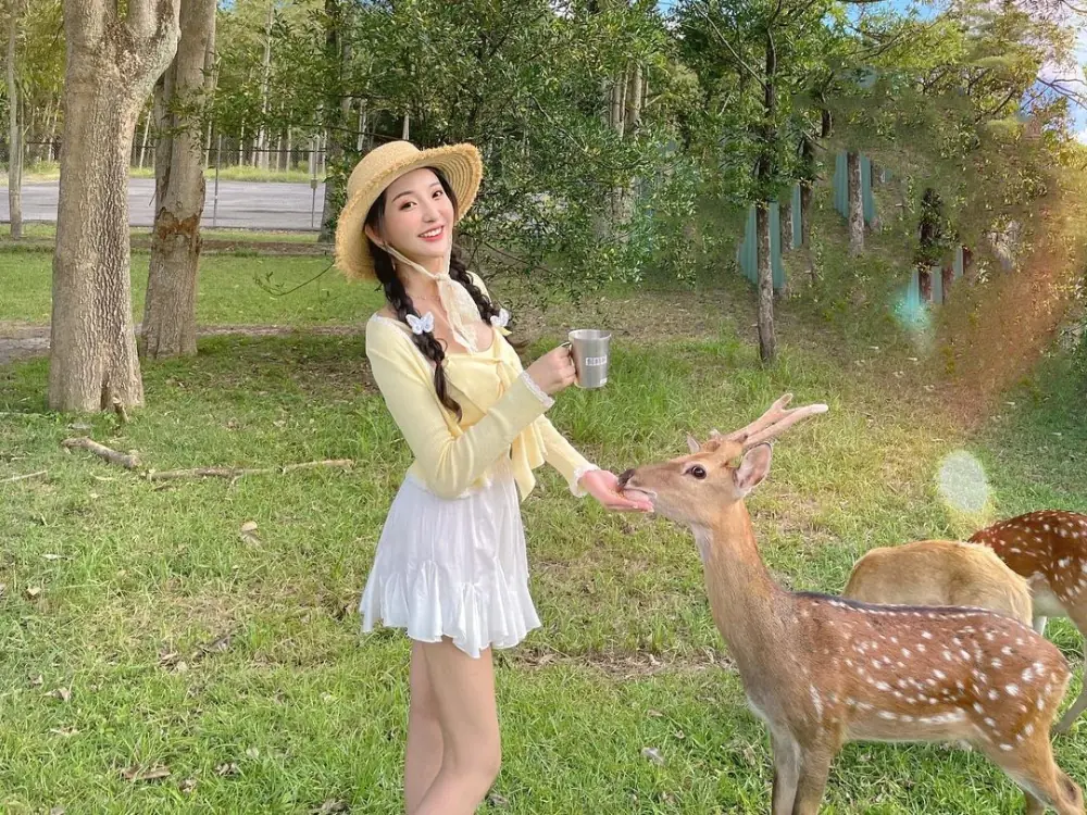 【街遊記】「2022 台東熱氣球嘉年華」必玩 7 大人氣景點！消暑秘境、日式神社⋯鹿野待三天三夜都不夠！