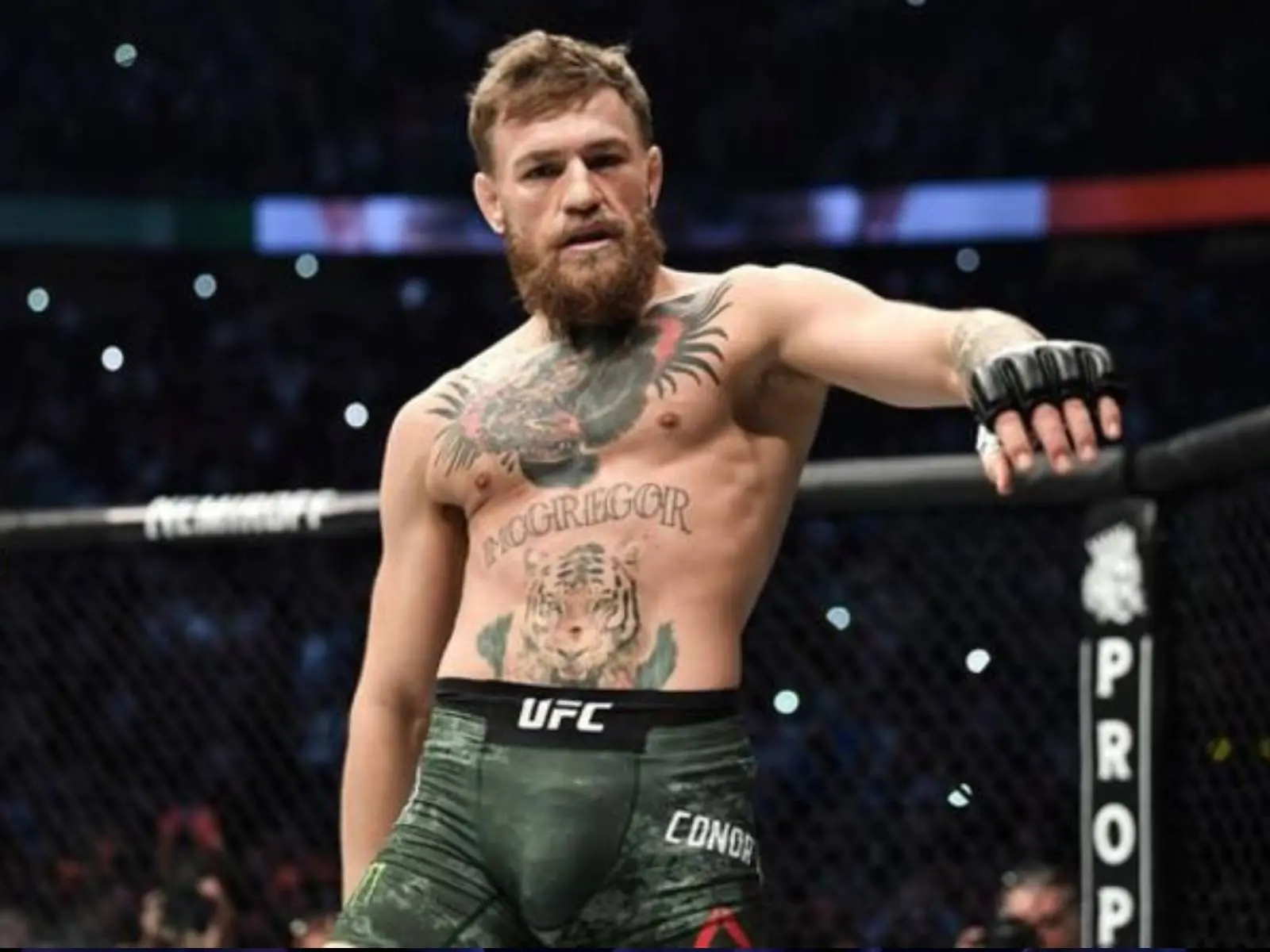UFC 格鬥天王 Conor McGregor 遭嗆聲「想比賽會先侮辱人」， 本人回應：「我和你媽相處得很好」