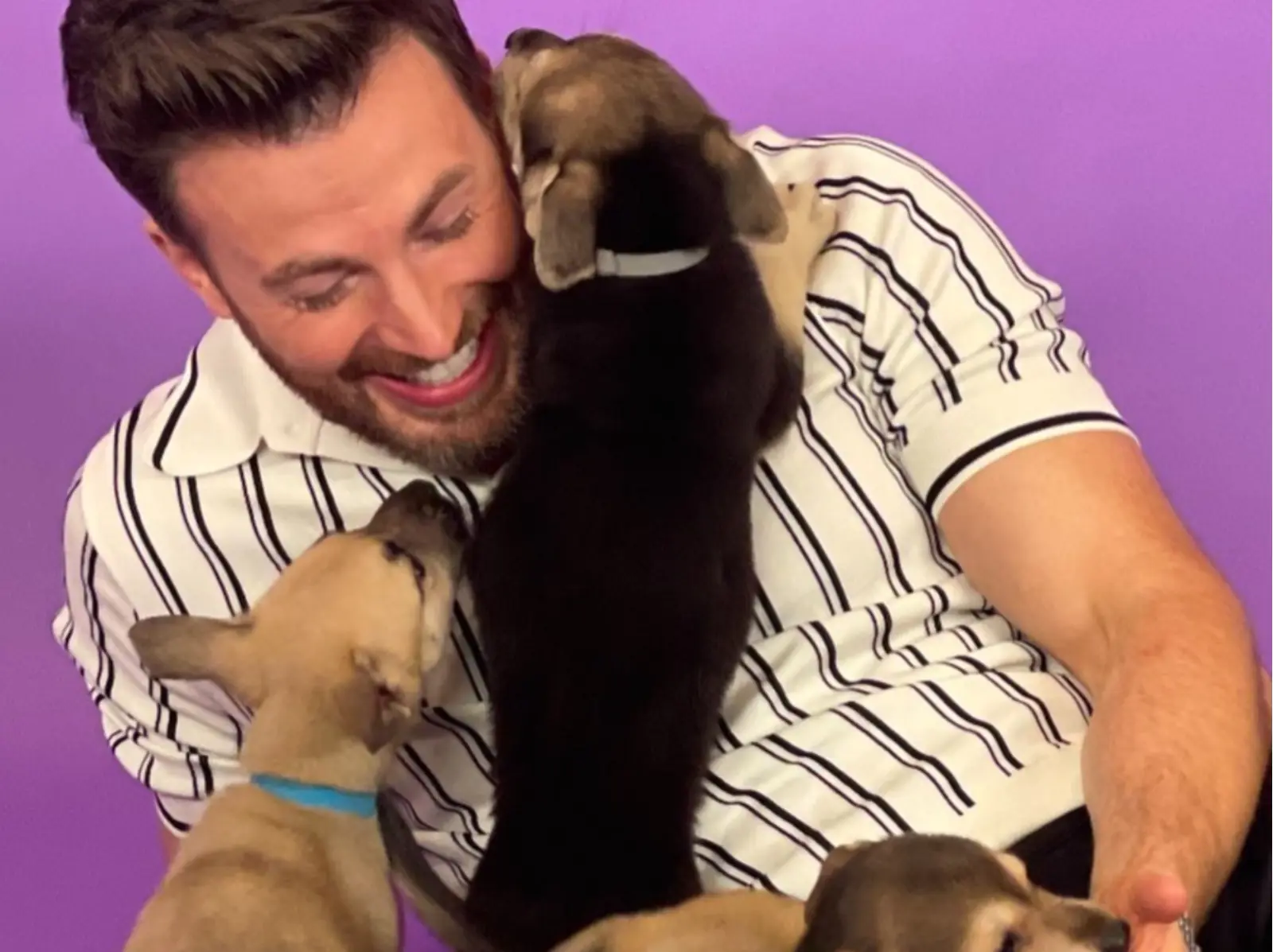 克里斯伊凡 Chris Evans 狂擼毛孩不理主持人，猛鑽胯下引網笑：「狗都知道要去哪裡找巨腸！」
