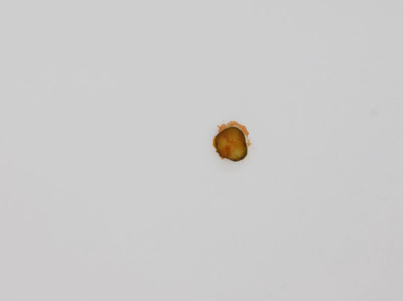 麥當勞「酸黃瓜」黏天花板竟成藝術作品？甚至還要價近 19 萬台幣！