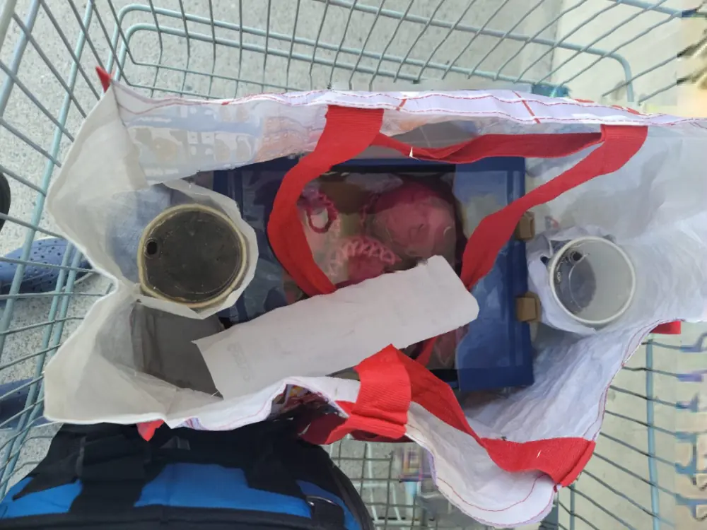 Costco 好市多購物袋超實用「隱藏功能」曝光，內行人才知道的使用方法被推爆！