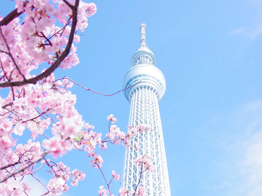 日本觀光 10 月開放自由行旅客、短期免簽，台灣也宣布「入境 0+7」好消息！