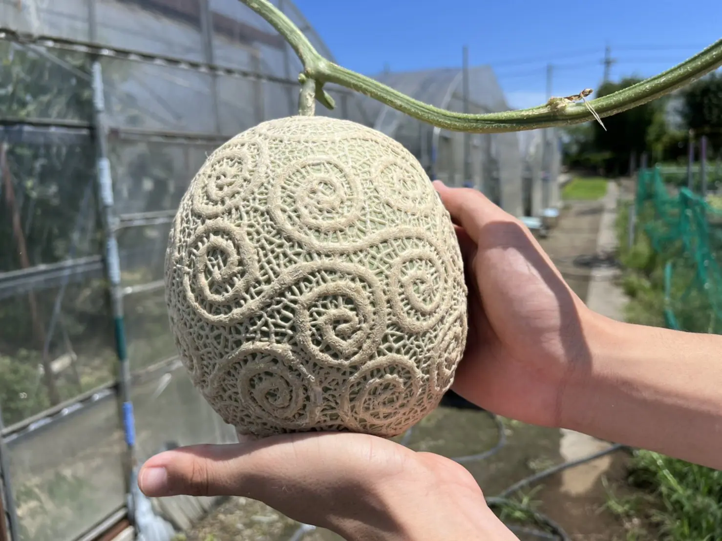 航海王「橡膠果實」真實版！日高中生親手打造，實在太神了！