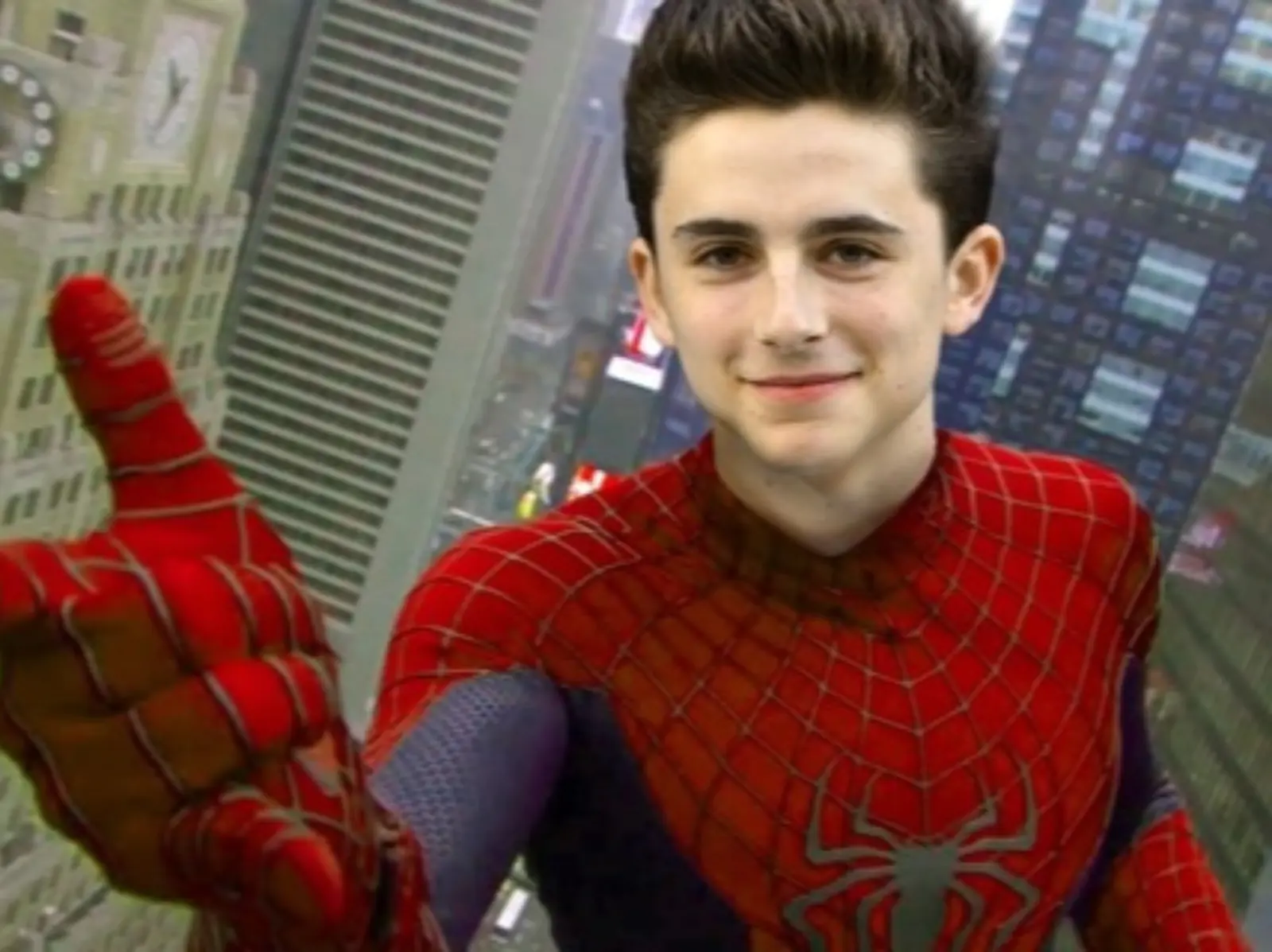 「甜茶」提摩西夏勒梅 Timothée Chalamet 透露就算試鏡漫威《蜘蛛人》失敗：「我還想敲開那扇門！」