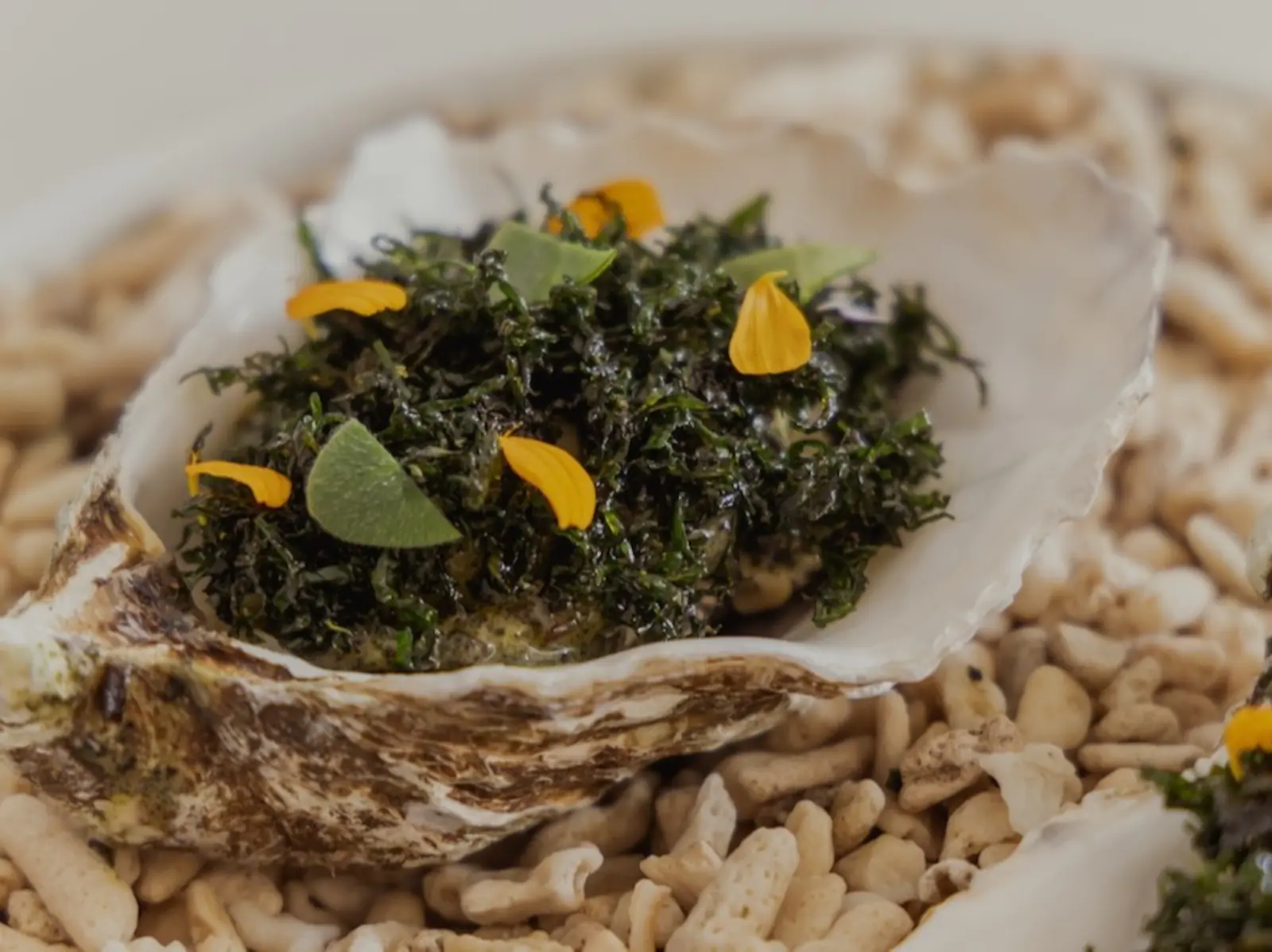 The Seedin Lab ⟪我吃了一個展覽⟫ 第二季海洋系列啟動！以「永續」為題的  fine dining