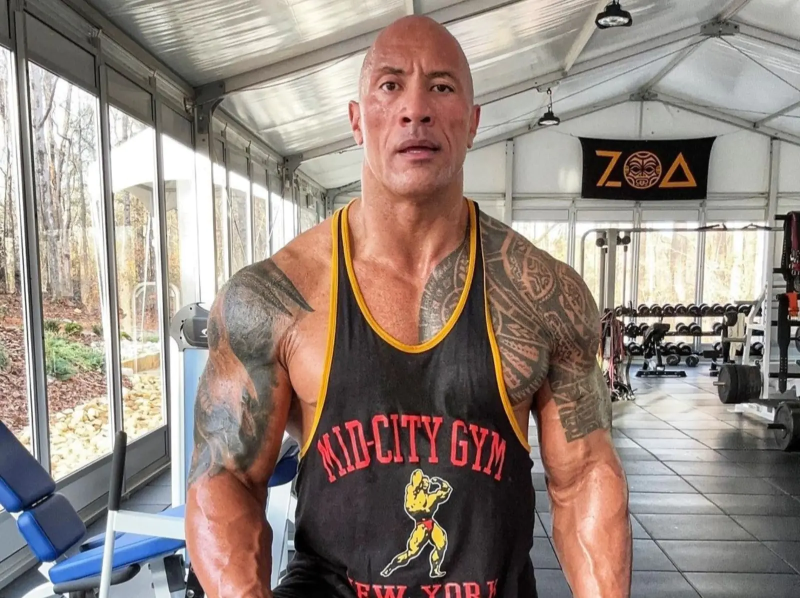 巨石強森 Dwayne Johnson 因不想讓劇組等，徒手把鐵門拆掉保全傻眼！