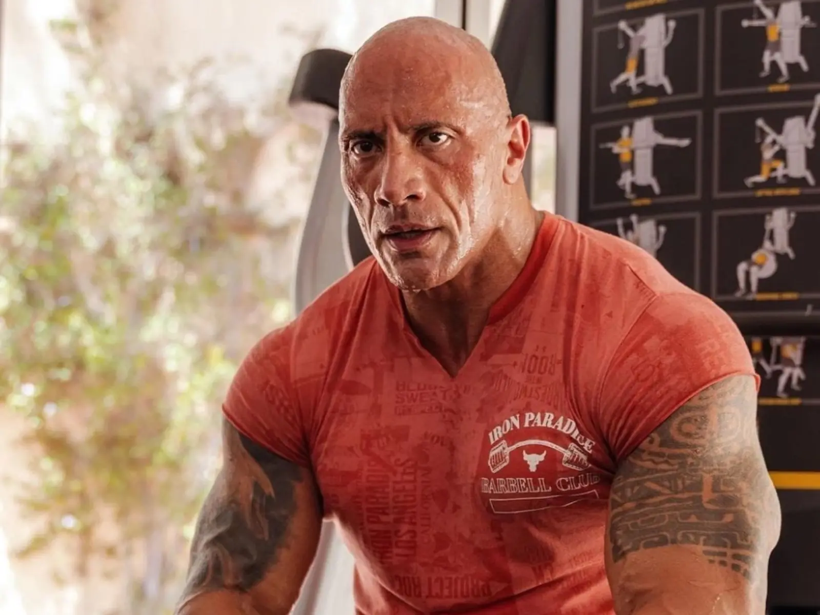 巨石強森 Dwayne Johnson 回擊使用類固醇傳聞：「我已將自己的身體推向極限！」