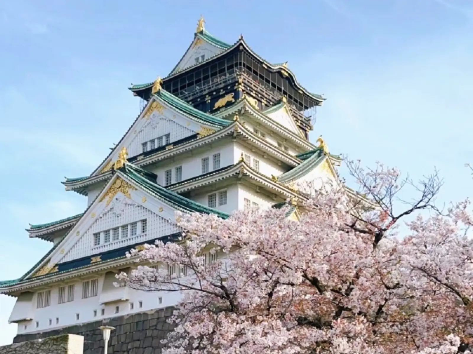2025 大阪 5 大深度旅遊行程推薦，旅遊必知、交通路線⋯完整攻略一次網羅！