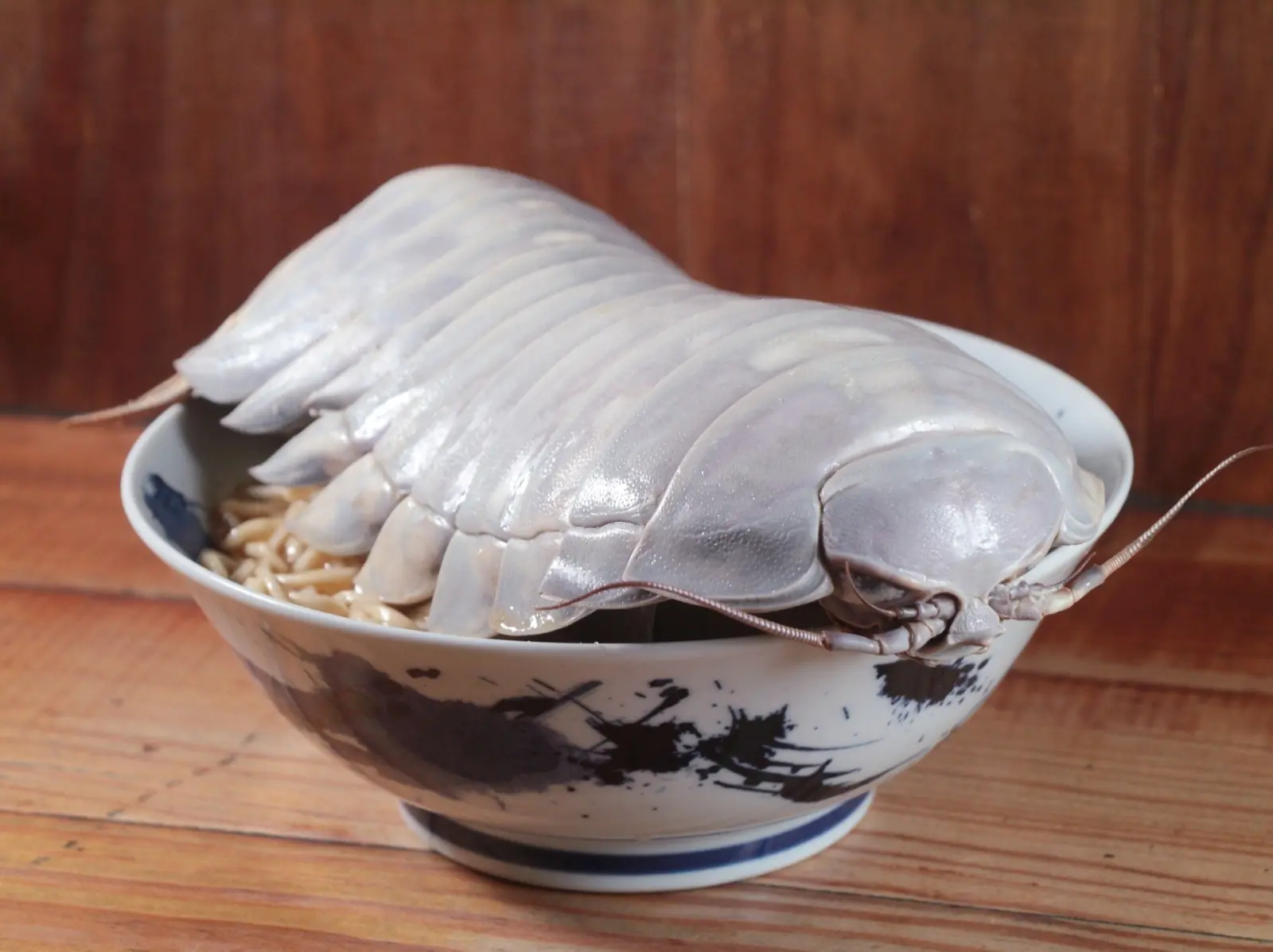 台北拉麵公子推出超狂「大王具足蟲拉麵」，夢幻食材搭配濃厚魚介雞白湯！