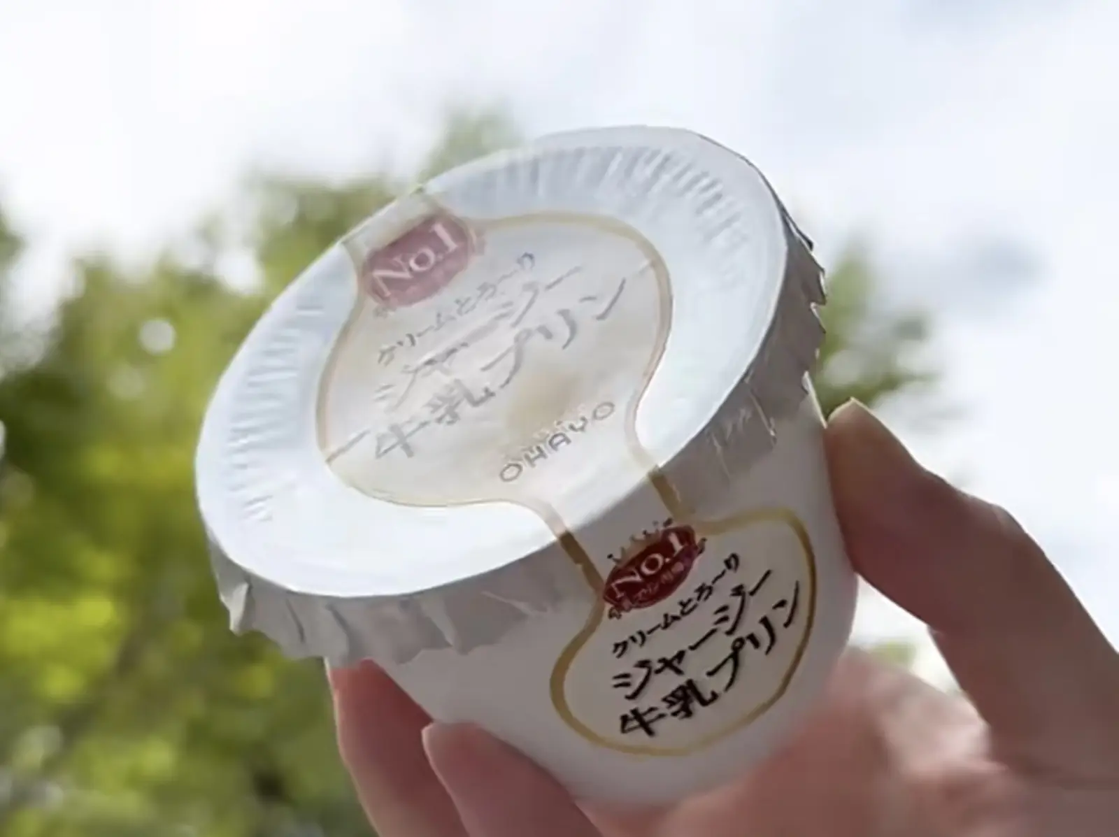 2025 日本超商必買美食：OHAYO 牛奶布丁、BRULEE 烤布蕾冰淇淋⋯7-11、Lawson 通通有！