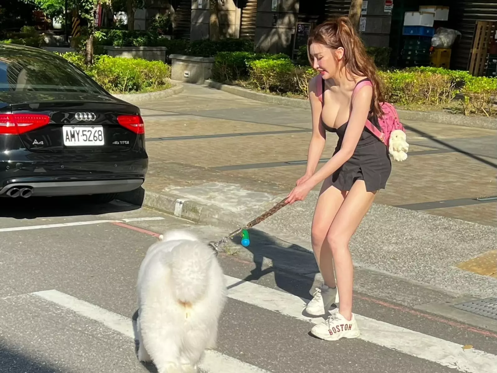 網紅正妹哈霓萱愛犬躺斑馬線不走，「彎腰拔河」畫面曝光引鄉民爆動！【野生抓正妹】