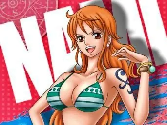 《週刊少年 JUMP》「身材最辣女角」日本千名網友公認是「她」，真紀真、娜美全上榜！