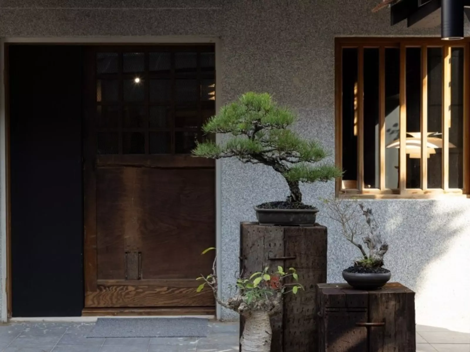 裏 Ura.219｜座落在大稻埕的墨色京都，融合古物、植栽、服裝、咖啡的全新複合式空間！