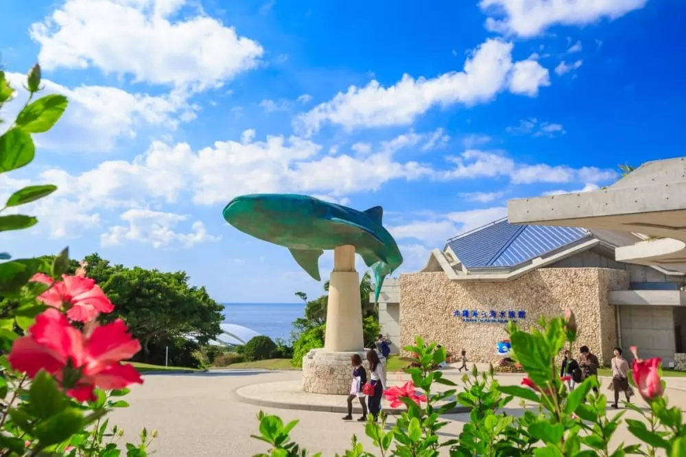 2025 日本沖繩美麗海水族館介紹全攻略：門票、時間、自由行租車自駕、巴士交通⋯一次看！