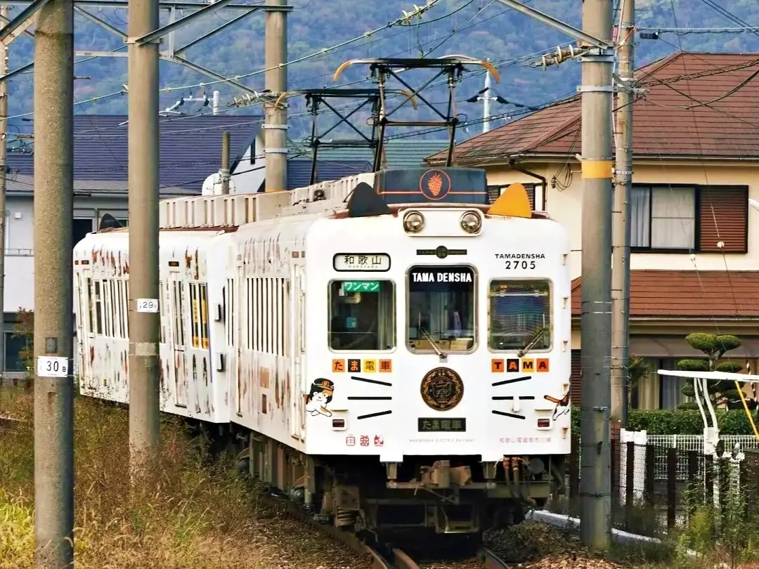 2025 日本和歌山自由行一日遊 PTT 12 大景點地圖推薦：白濱溫泉、小玉電車⋯壯麗景色此生必看！