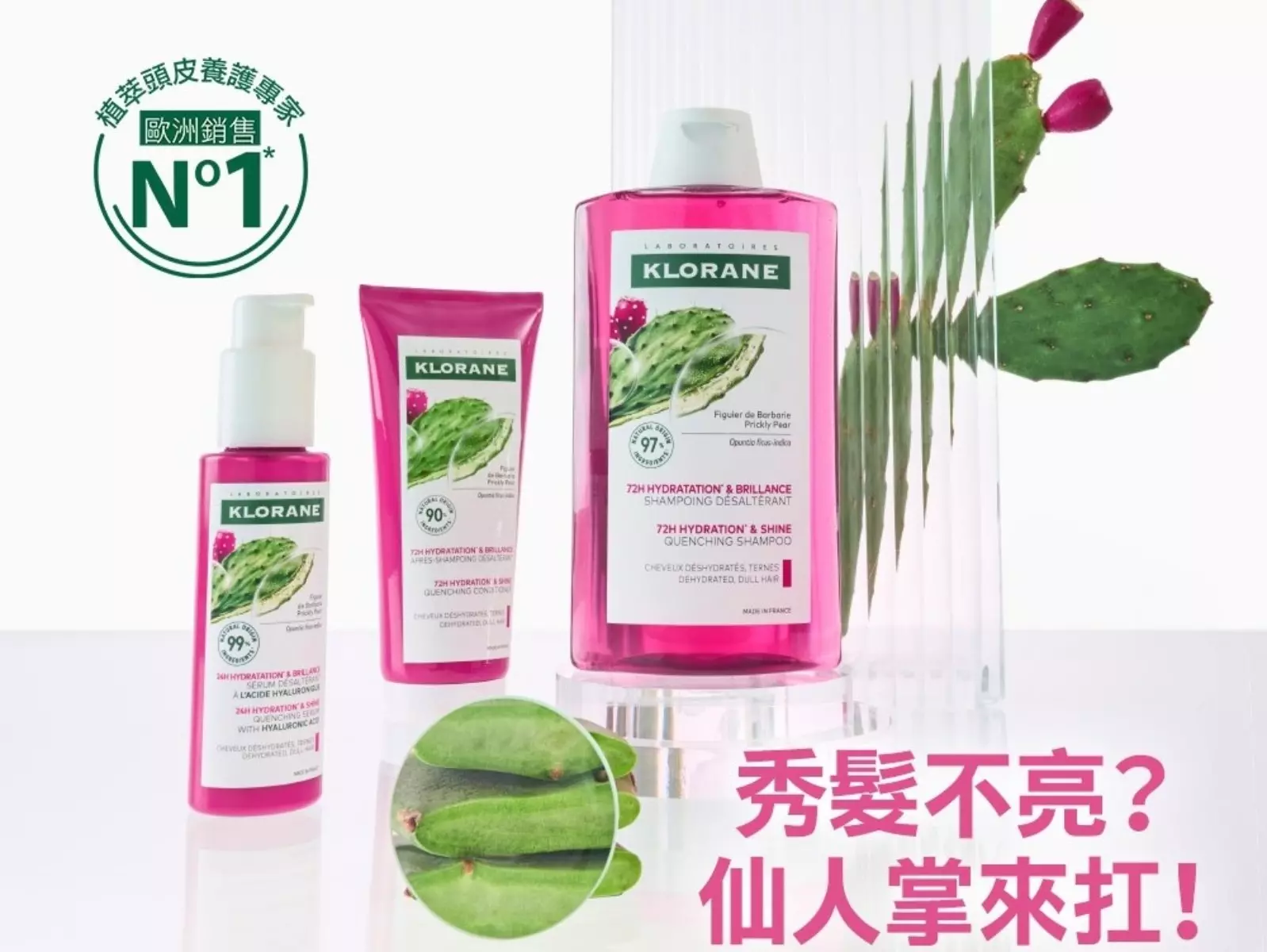 蔻蘿蘭仙人掌保濕系列新品上市，仙女秀髮養成，告別冬季頭髮乾澀毛躁！