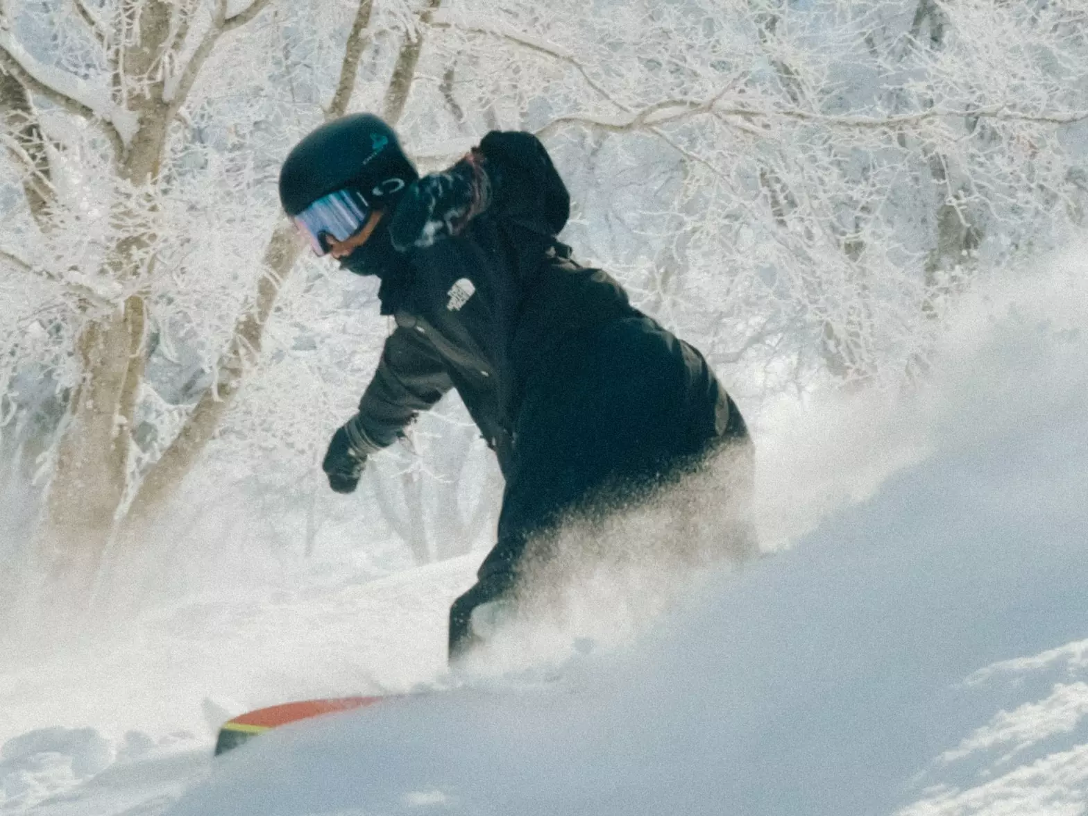 DBC 推日本冬季關西限定行程！三大和牛、雪場湖景⋯一次享受！