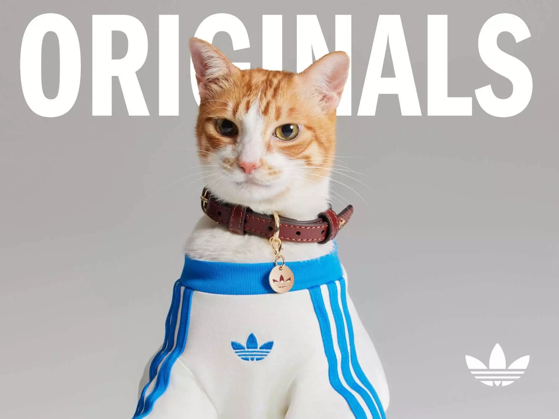 adidas Originals 寵物系列登場！完整單品＆發售時間搶先看！