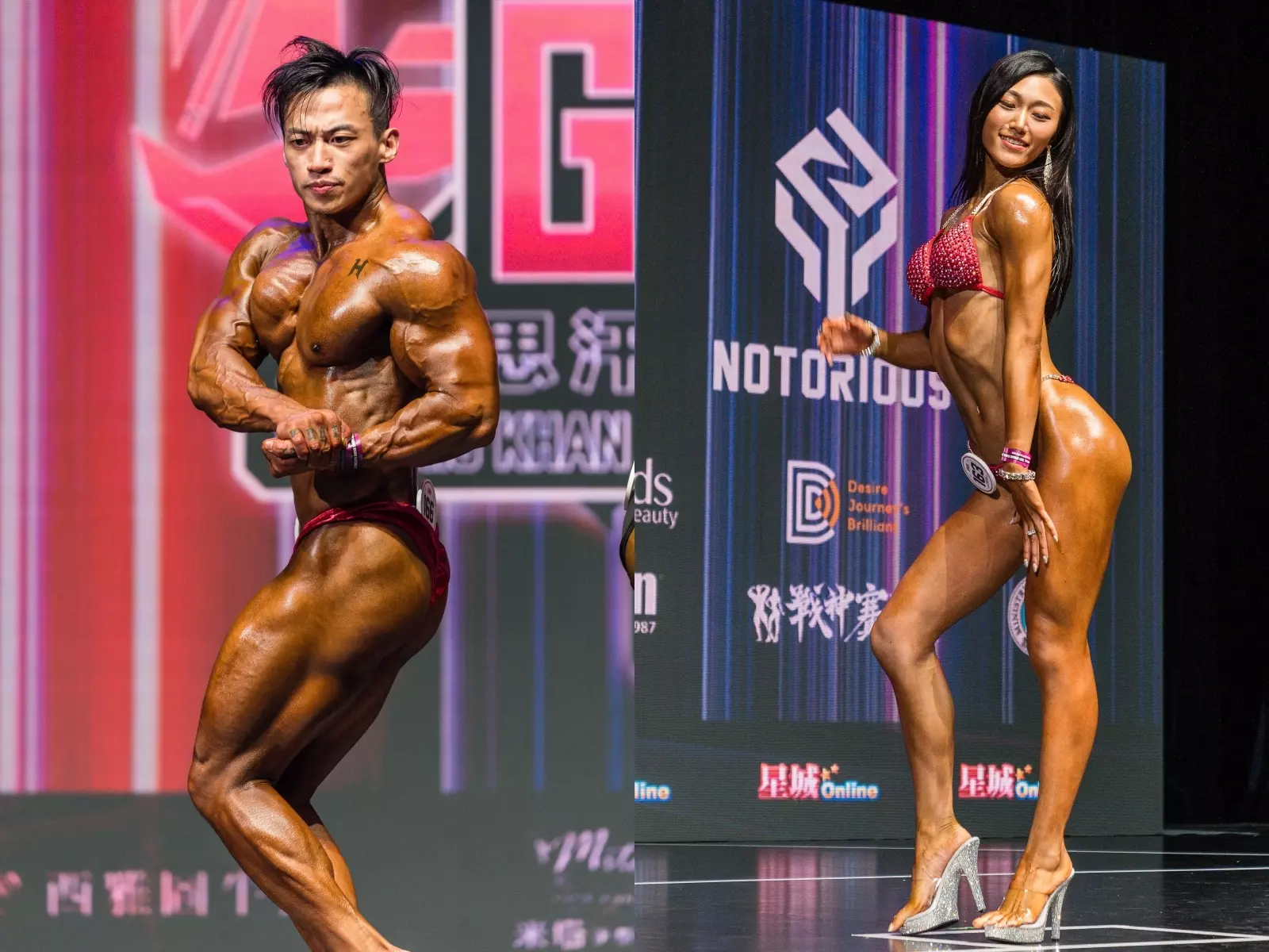全台最狠健美賽事回來了！GKBB 成吉思汗全國健美公開賽：從信念出發，打造台灣最燃的健美舞台！