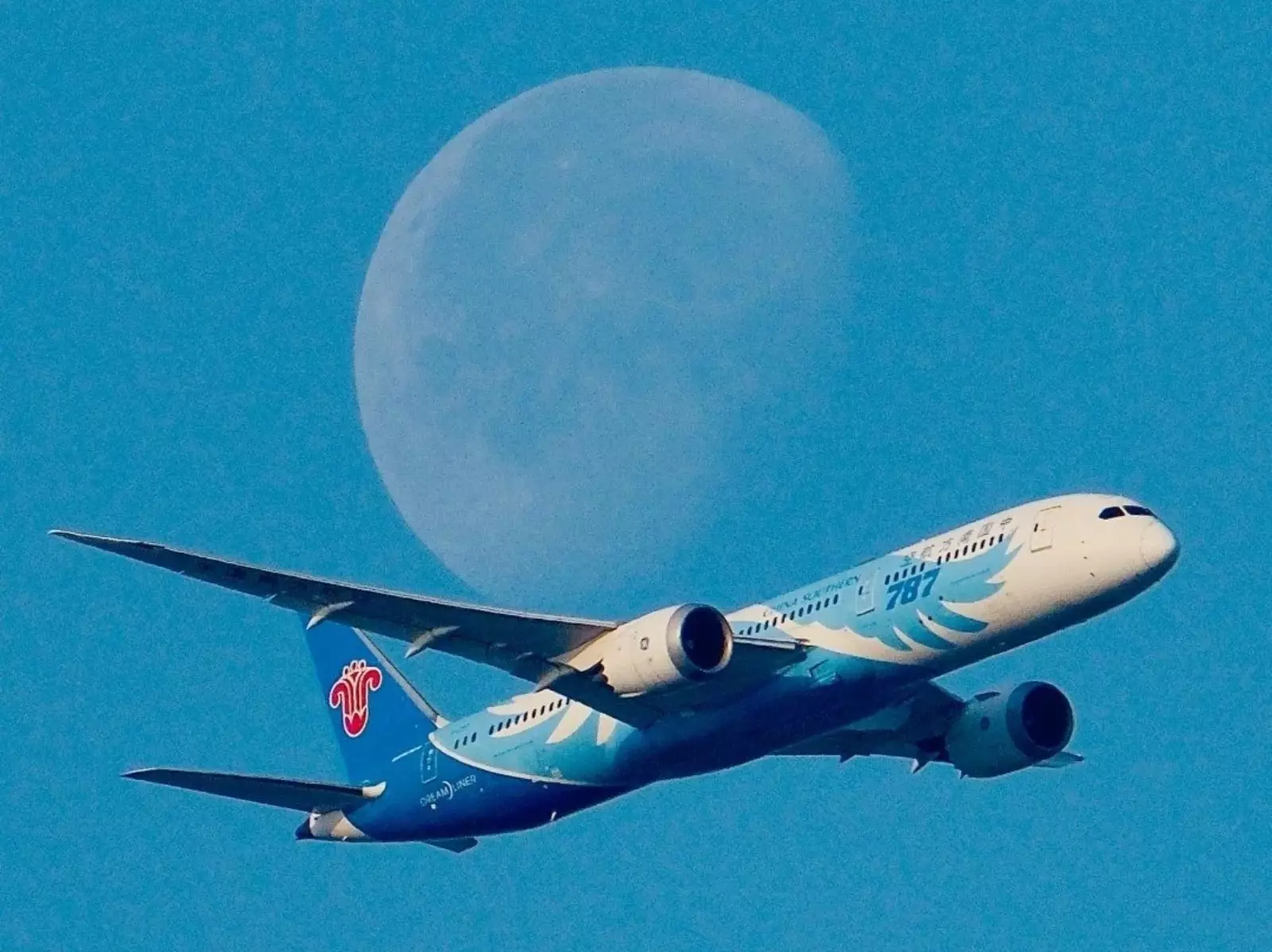 2025 台灣機場航空新規定曝光！7 月 1 日 起軍人可優先登機！