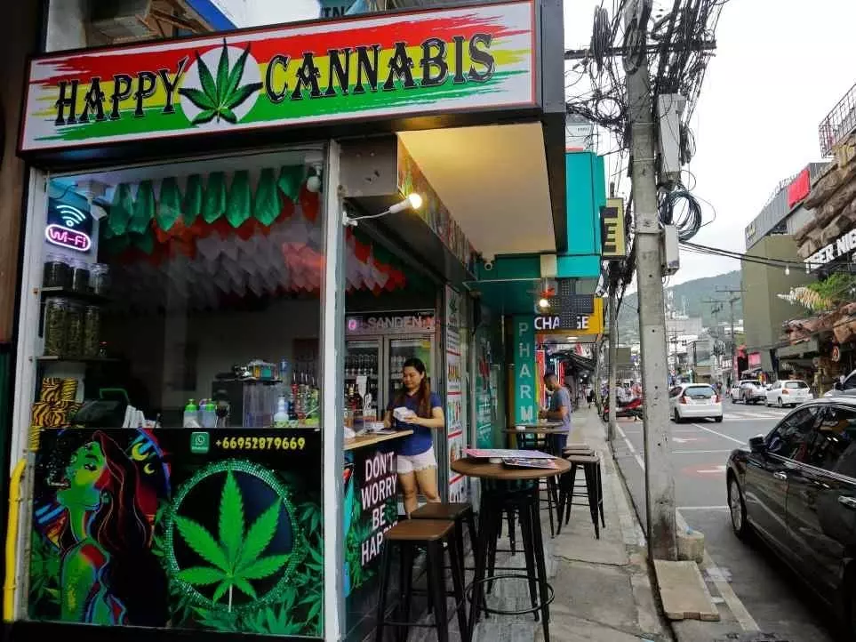 泰國大麻取消合法化！禁止時間、未來僅限醫療用途！