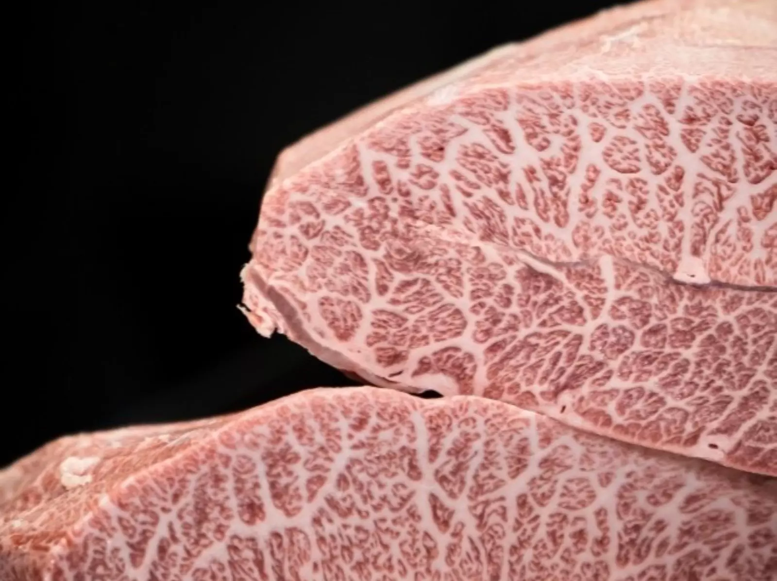 米其林一星餐廳「俺達の肉屋」9 週年慶，搶先全台進口第一批 40 個月牛齡「正統松阪牛」！