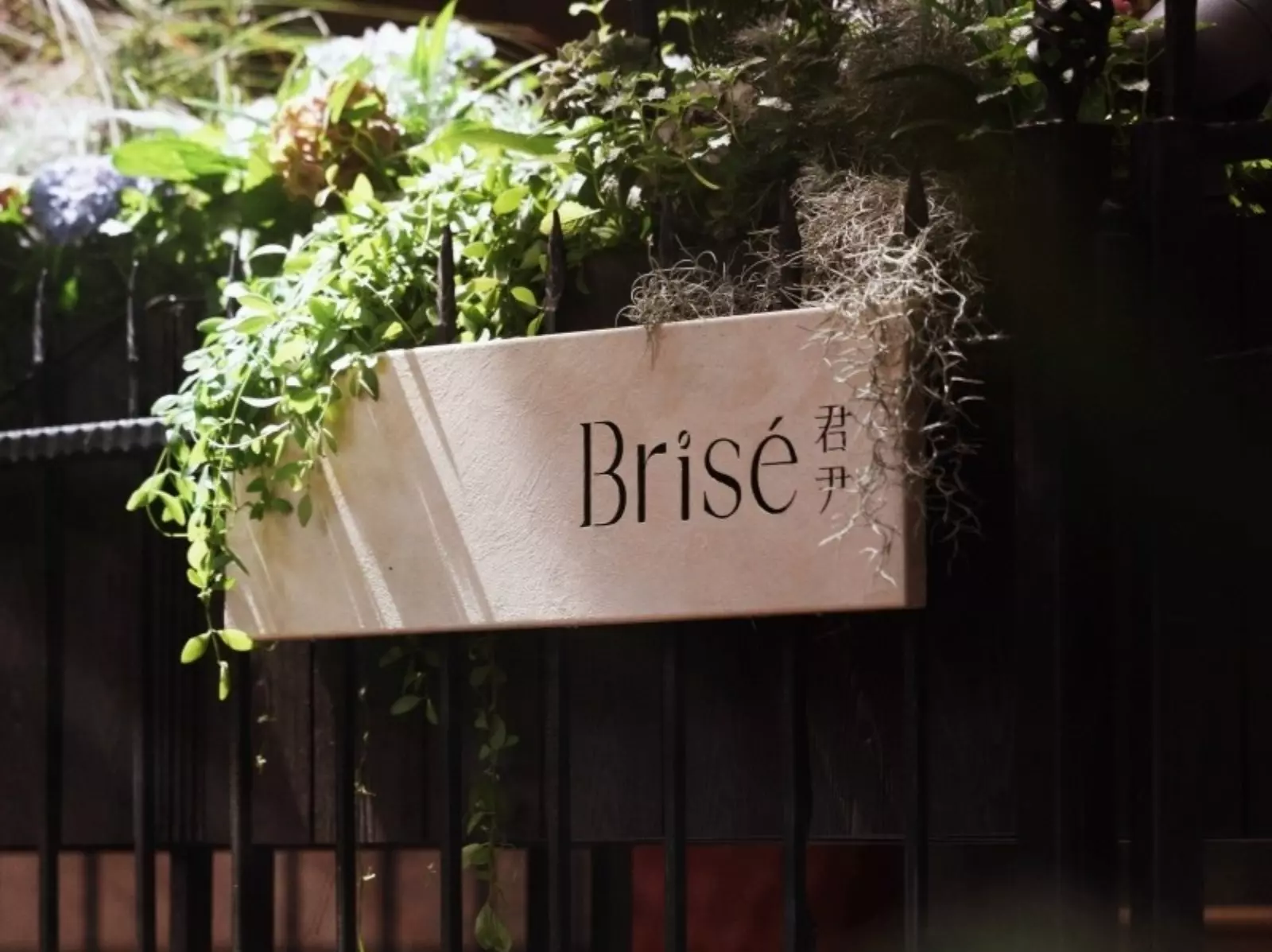 2025 台北約會餐廳推薦：台北 Fine Dining「君尹 Brisé」夏季新菜單、價格、訂位一次看！