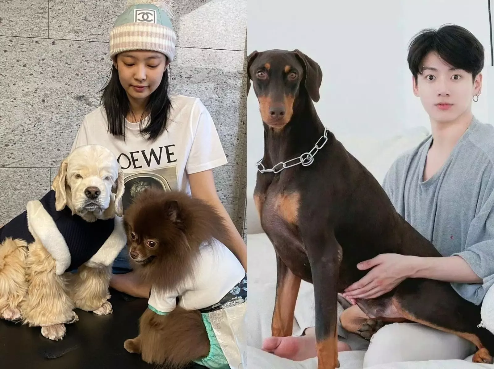 韓星「愛犬」盤點：GD 沙皮犬家虎、Jennie 博美 Kuma、田柾國杜賓犬 Bam⋯10 位人氣毛孩全公開！