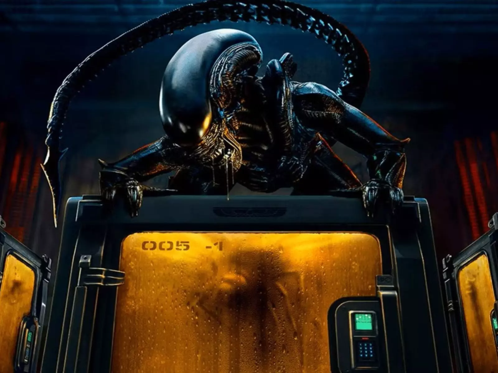 最經典的異形與全新詭異怪物首度入侵地球！揭曉Disney+獨家影集《異形：地球》的5大看點！