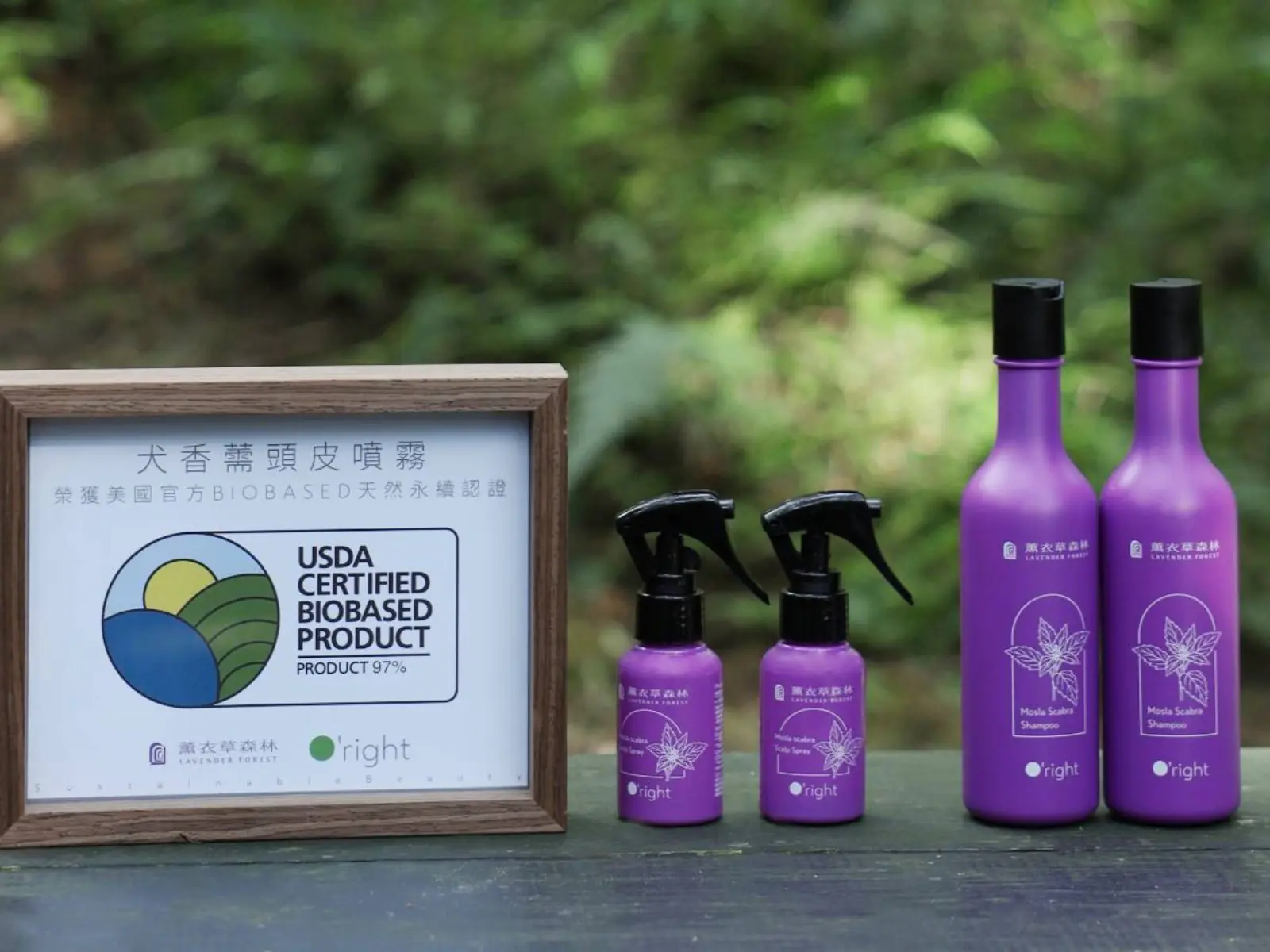 秋冬頭皮油塌救星登場！薰衣草森林 × 歐萊德跨界 犬香薷頭皮養護系列，舒緩頭皮、香氛療癒、蓬鬆髮型全方位加分！