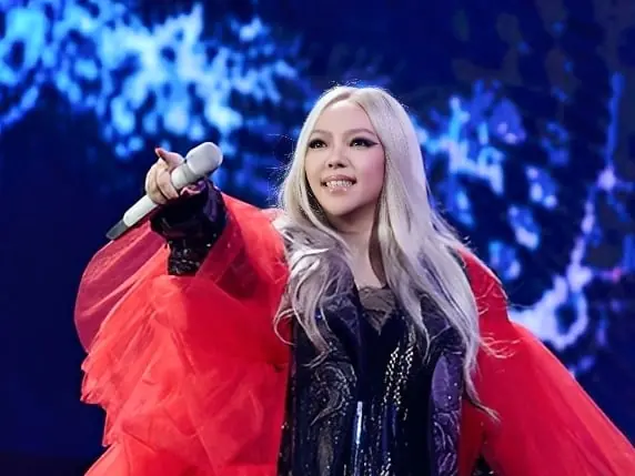 2026 台東跨年卡司陣容曝光！張惠妹、A-Lin、玖壹壹、時間地點一次看！