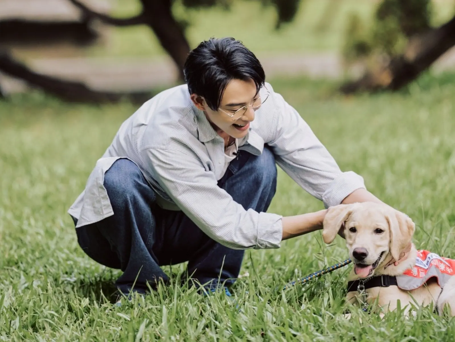 JINS 連六年捐義賣所得 攜手連晨翔成為導盲犬的光