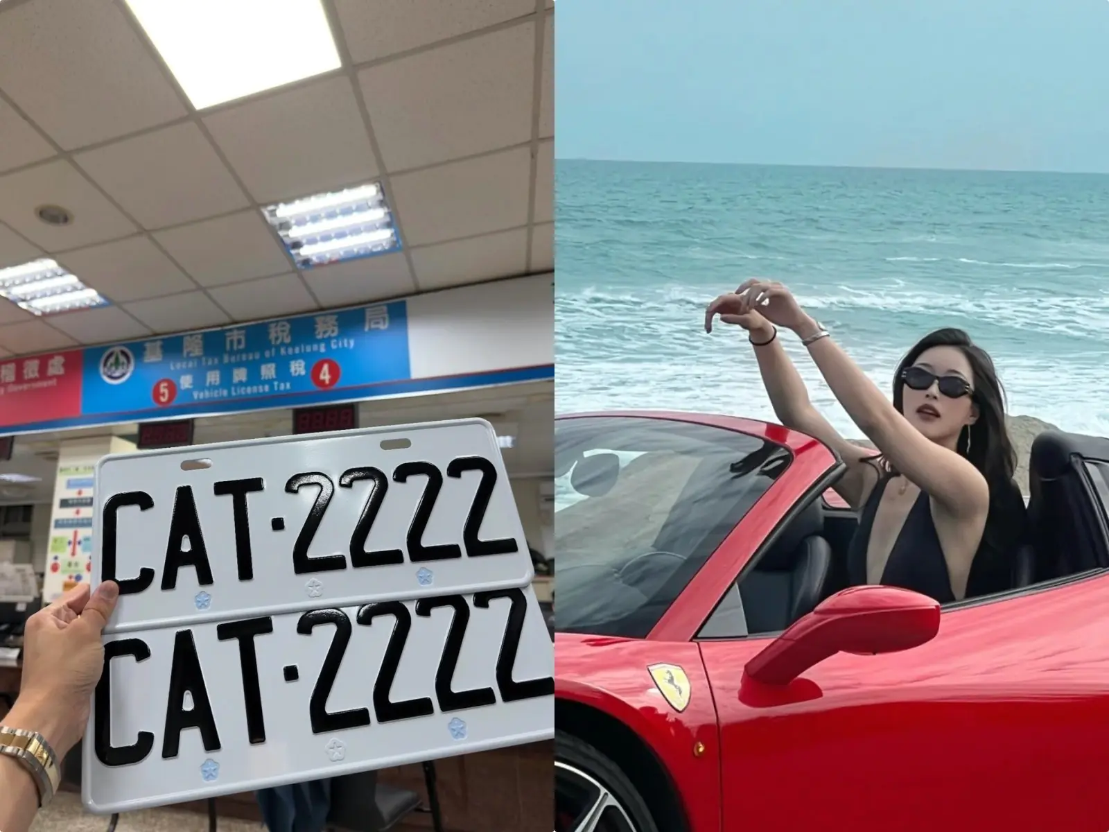 「CAT」貓咪車牌釋出貓奴瘋搶！「DOG」禁用原因曝光！