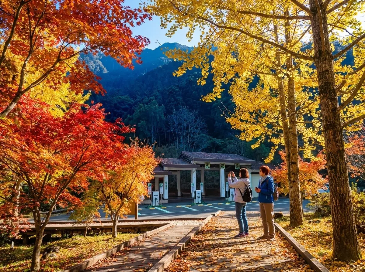 武陵農場楓紅季節限定美景！12月1日啟用電動車充電站